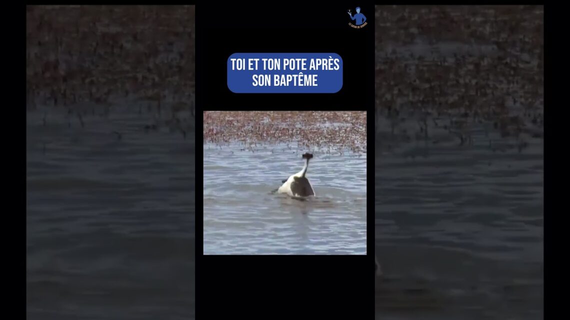 Les baptisés de cette année, comment ça va ? 😁🙌
