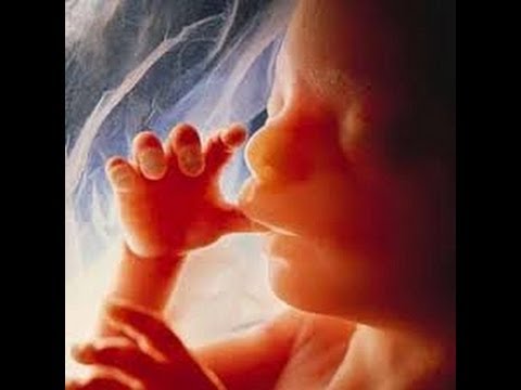 Bioéthique 2a —  Peut-on faire de la bioéthique sans un regard de sagesse