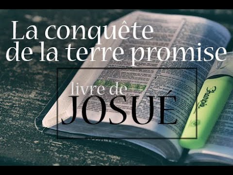 Livre de Josué 11 à 13 : La vision béatifique nous revêt de la Toute Puissance de Dieu /