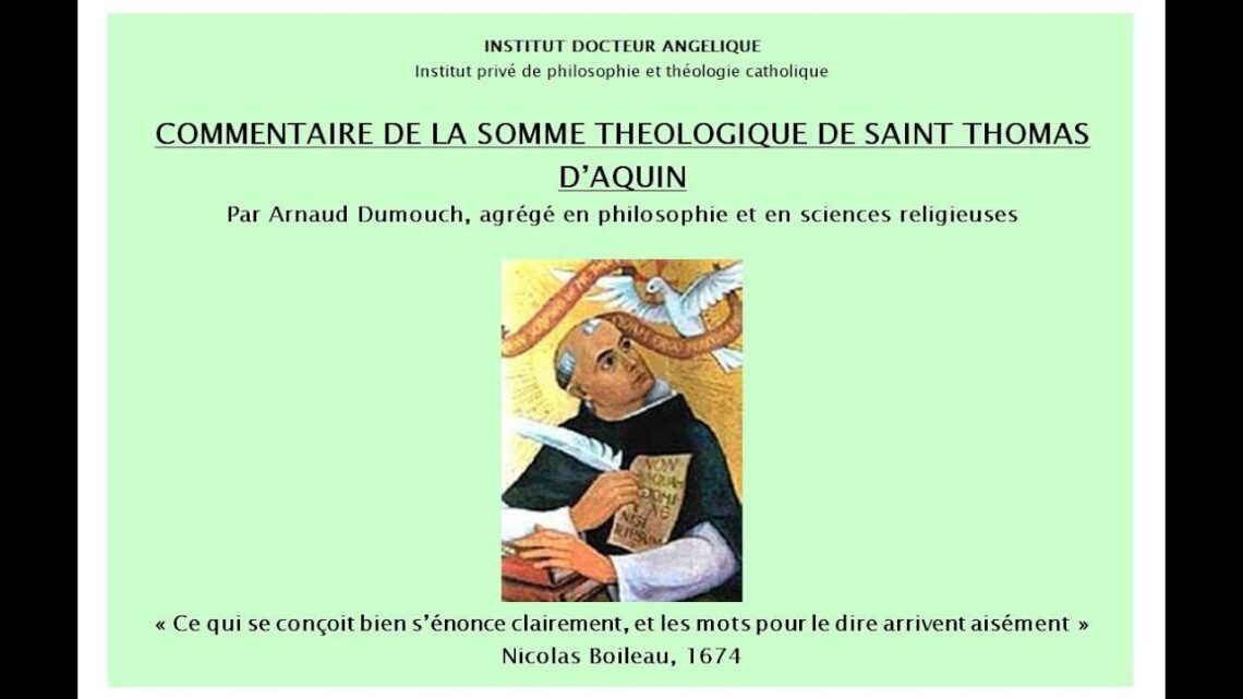 Commentaire de la Somme théologique Ia Q 66 : Le rapport entre création et distinction, A Dumouch /