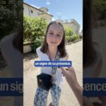 Qu'est-ce que tu dirais à quelqu'un qui n'est pas chrétien ?